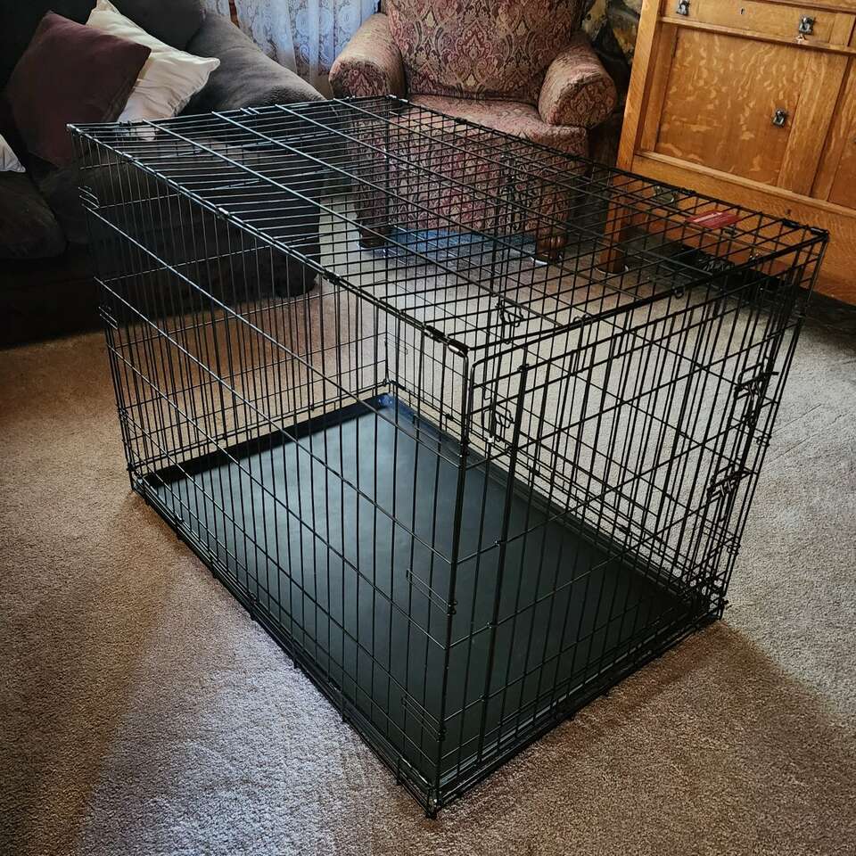 Dog kennel Pets