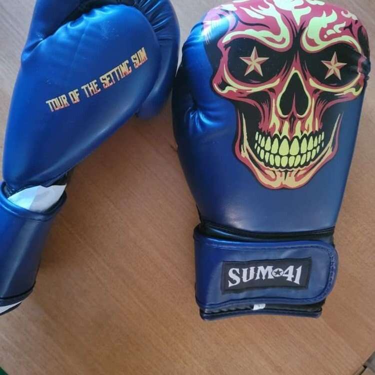 New Sum 41 Boxing Gloves and Robe