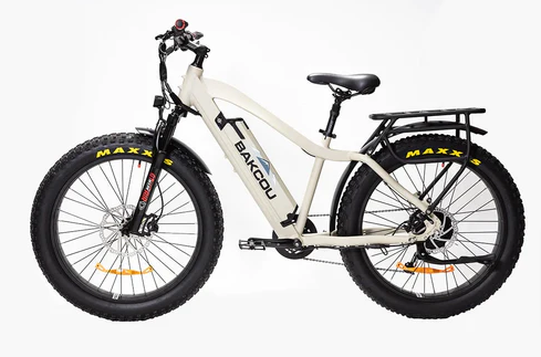 Bakcou FLATLANDER Electric Bike