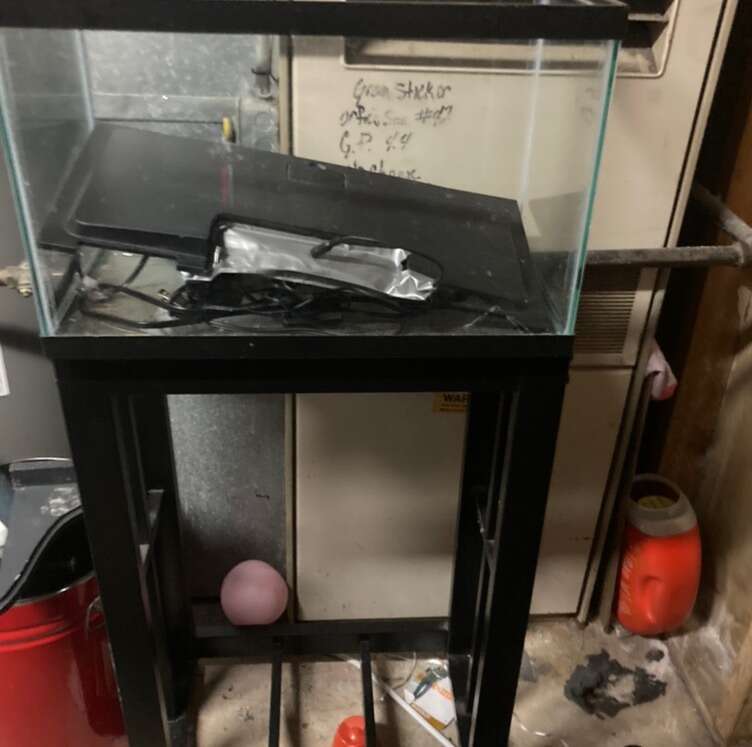 10 Gallon Fish Tank And Stand Pets