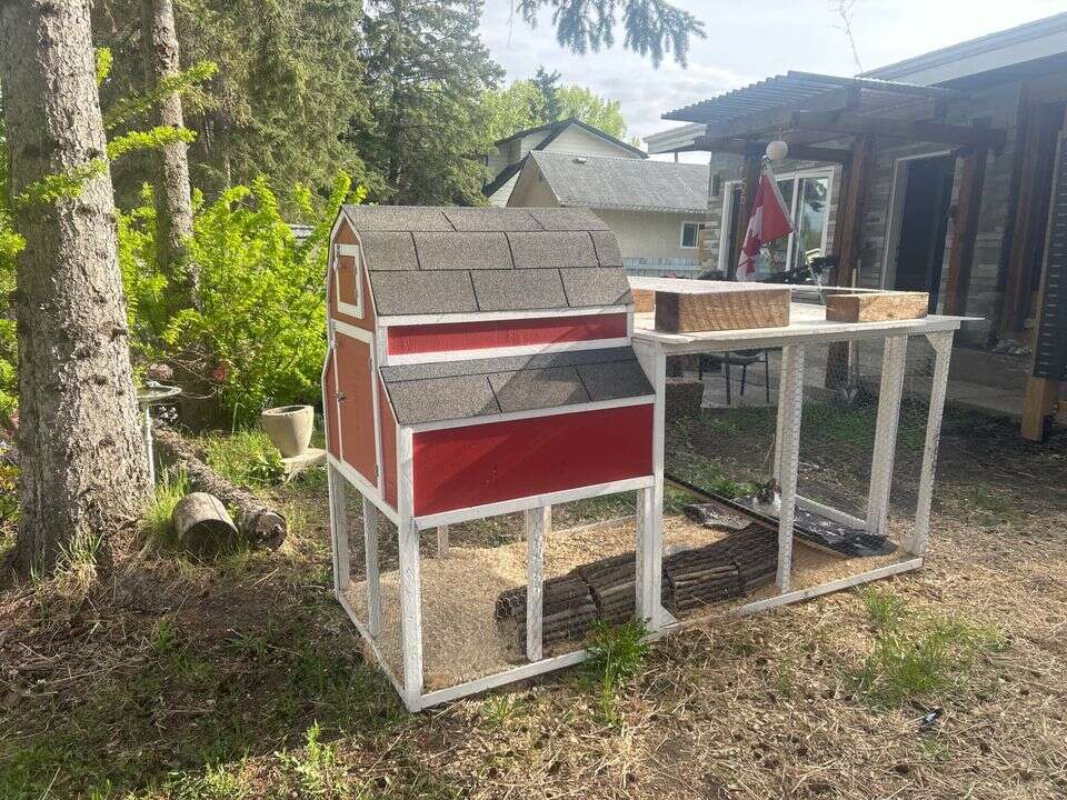 !!!MERRY CHRISTMAS 2025!!! $650 XXLarge Size Bunny Rabbit Hutch Custom madehabitat cage enclosure coop chicken