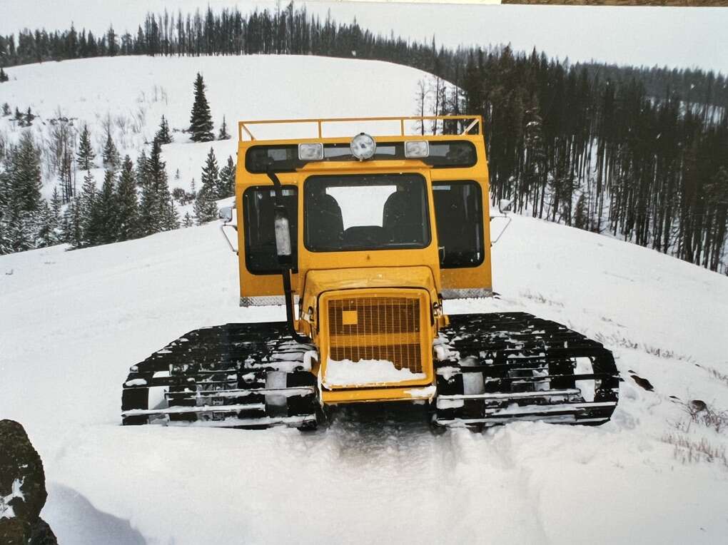 Snow Cat For Sale Winter Sports