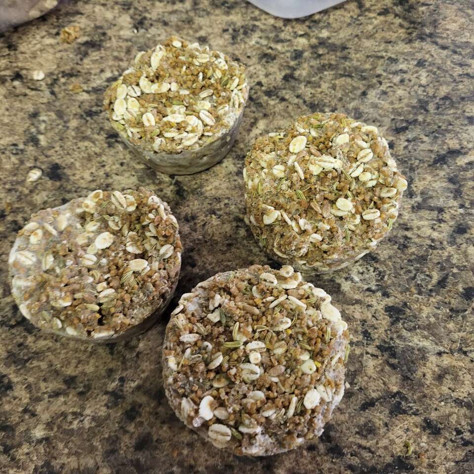 HomeMade Chicken Treats