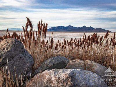 THE GREAT SALT LAKE AND ANTELOPE ISLAND