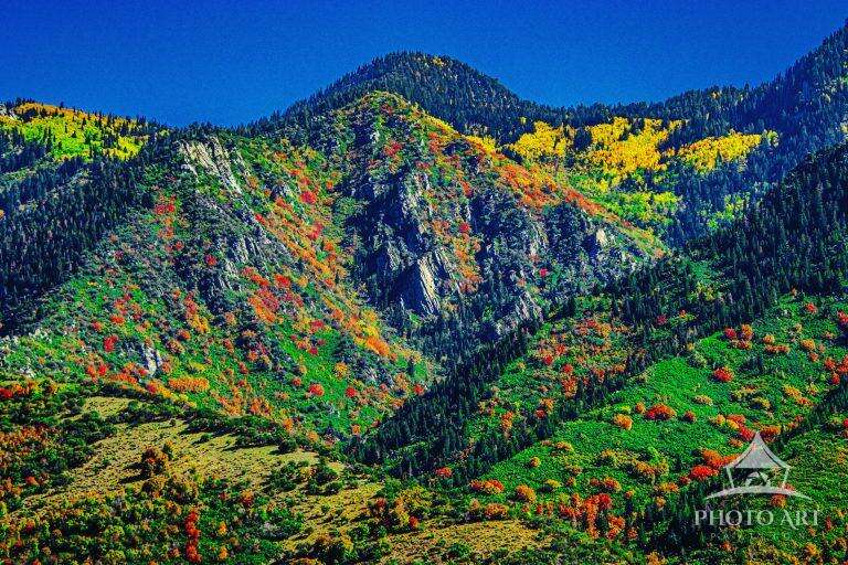 AUTUMN TIME LITTLE COTTONWOOD CANYON