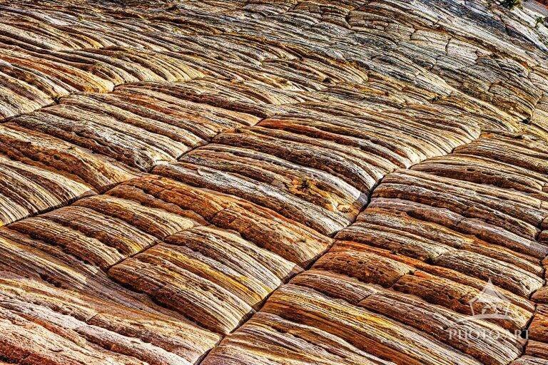 SANDSTONE ZION NATIONAL PARK