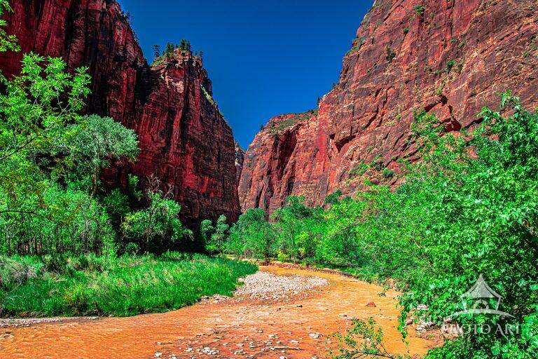 The Narrows Zion National Park Photo Art Print