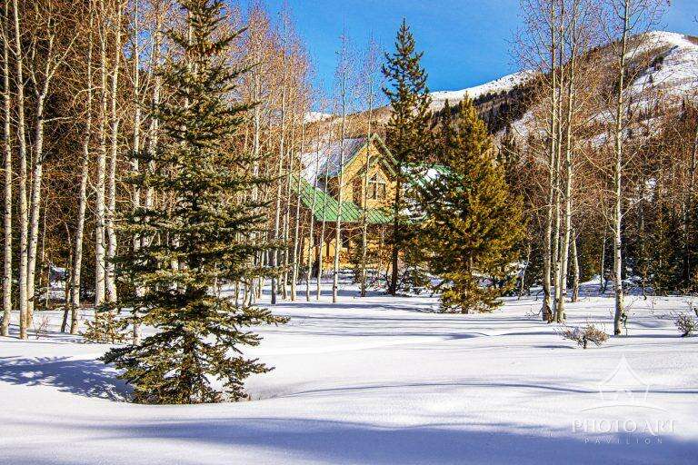 CABIN HIDDEN IN THE WOODS PHOTO ART PRINT