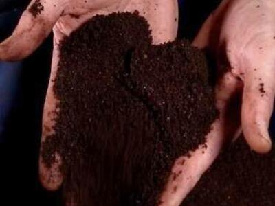 !Organic MaximGrow® Worm Casts Compost Fertilizer!