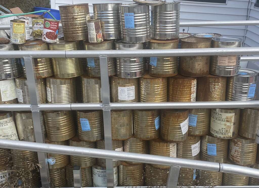 Plant Pots & Cans: Only 25 Cents Each!