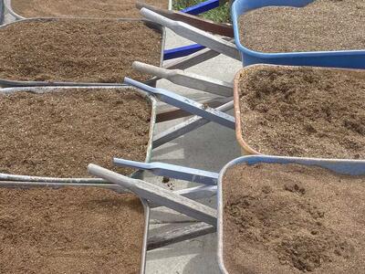 Premium Perry’s 100% Organic Raised Bed~ding Soil