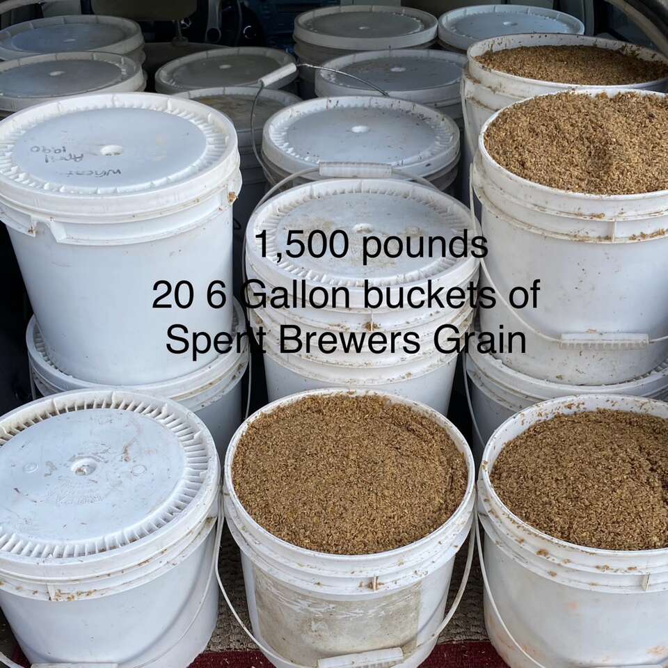 Wanted ~ In Search Of ~ Spent Brewer Grains