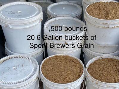 Wanted ~ In Search Of ~ Spent Brewer Grains
