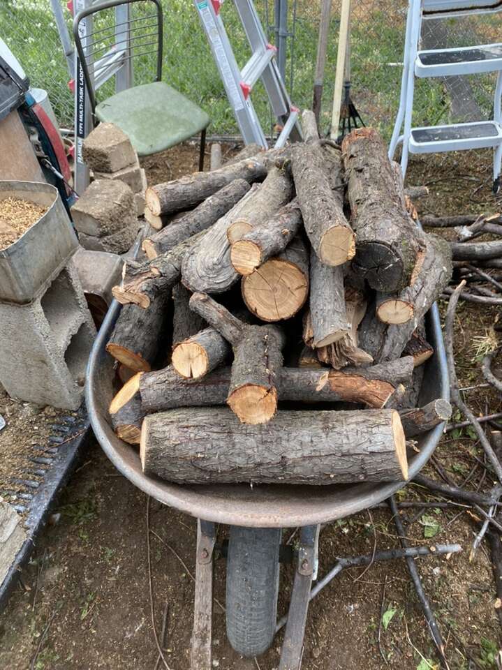 Sweet Plum Logs And Plum Wood Chips Smoker Fuel