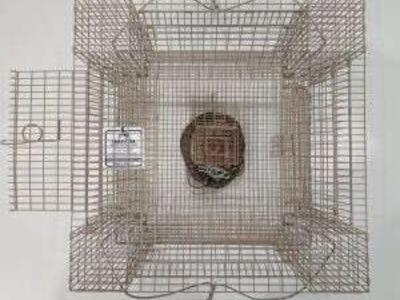 Crayster ManufacturesProfessional CrayFishingTraps