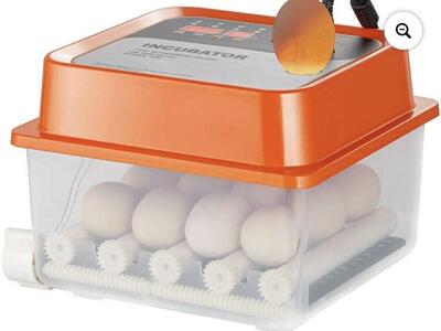 Automatic Poultry Incubator And Hatcher WithTurner