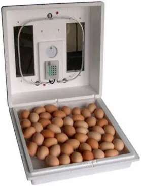 50Egg Capacity Farm Innovators Still Air Incubator