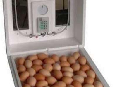 50Egg Capacity Farm Innovators Still Air Incubator