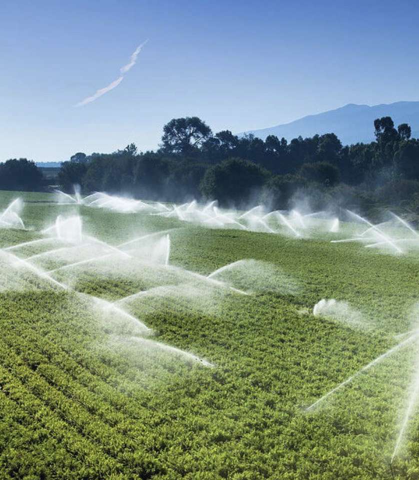 ISO North Bench Ditch Water Shares Wanted