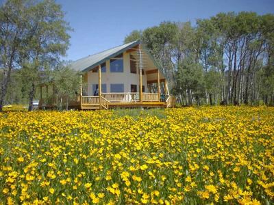 Island Park Idaho Cabin Rental Five Bedrooms