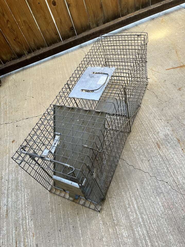 Havahart Metal Animal Trap