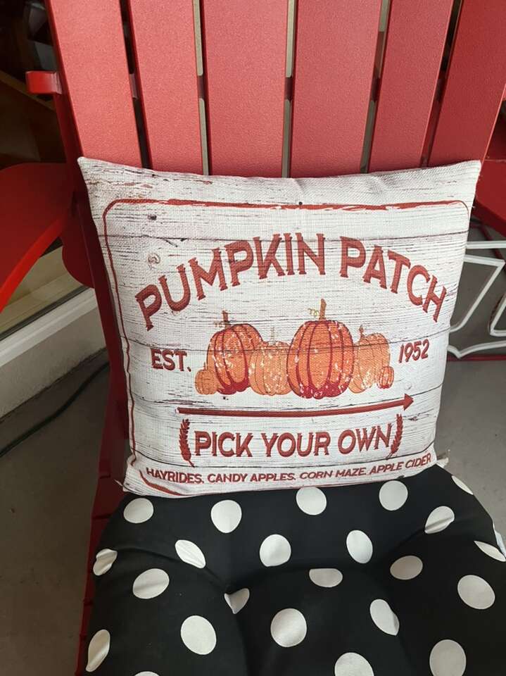 Pumpkin Patch Pillow 16 X 16