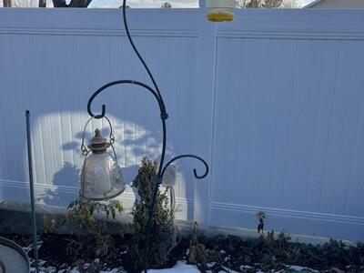 Tall Shepards Hook 3 Hooks Wrought Iron Curved