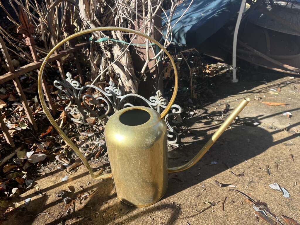 Metal Heavy Watering Can Brass Colored 18 1/2T