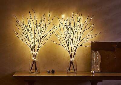 New Lighted Willow Branch