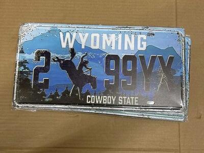 Vintage US License Plate – Decorative