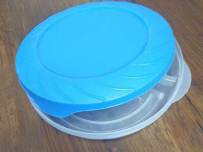 Tupperware servin' saver food container