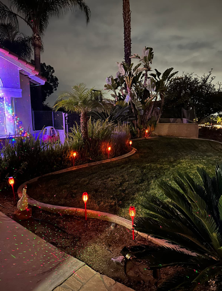 brand new in box 12Pack Solar Lights (only 5 left)