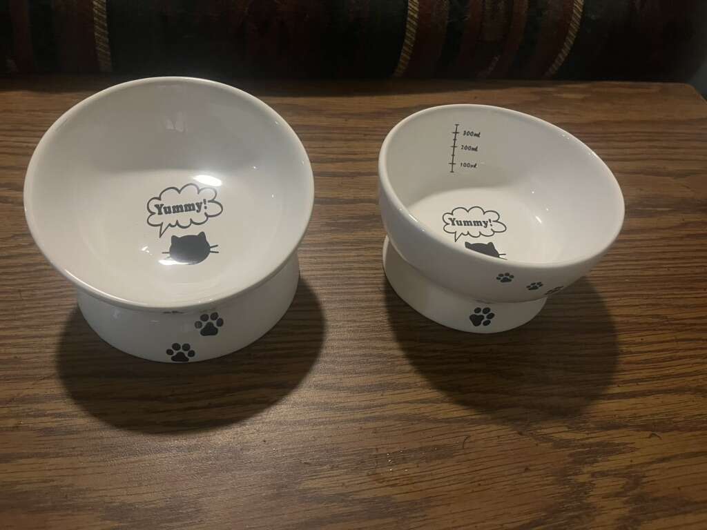 Cat Water And Food Ceramic Bowl