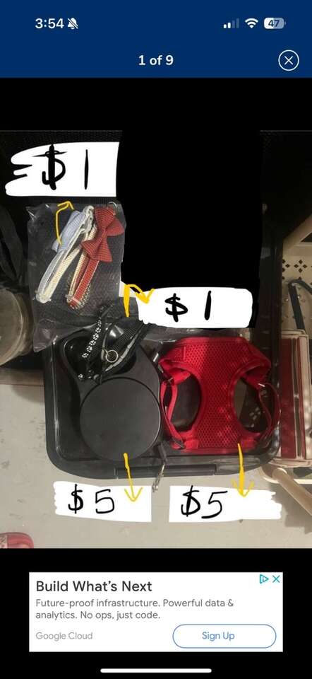 Cats/dogs Harness, Collar, Lease, Pet Safe Barrier