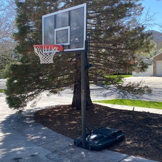 Liftime basketball hoop