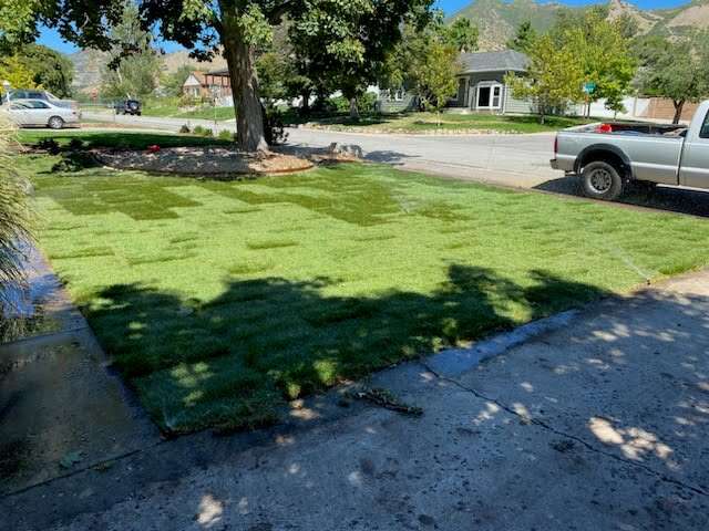 Tree Trimming | Landscaping | Sprinkler Installation | Sprinkler Repair | Vinyl Fence Installation | Pavers