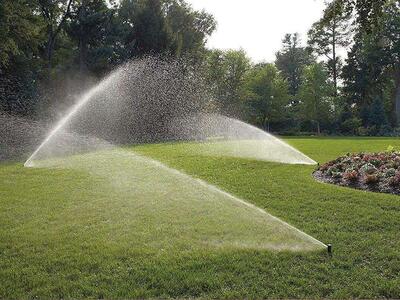 Yard Clean Up Landscaping