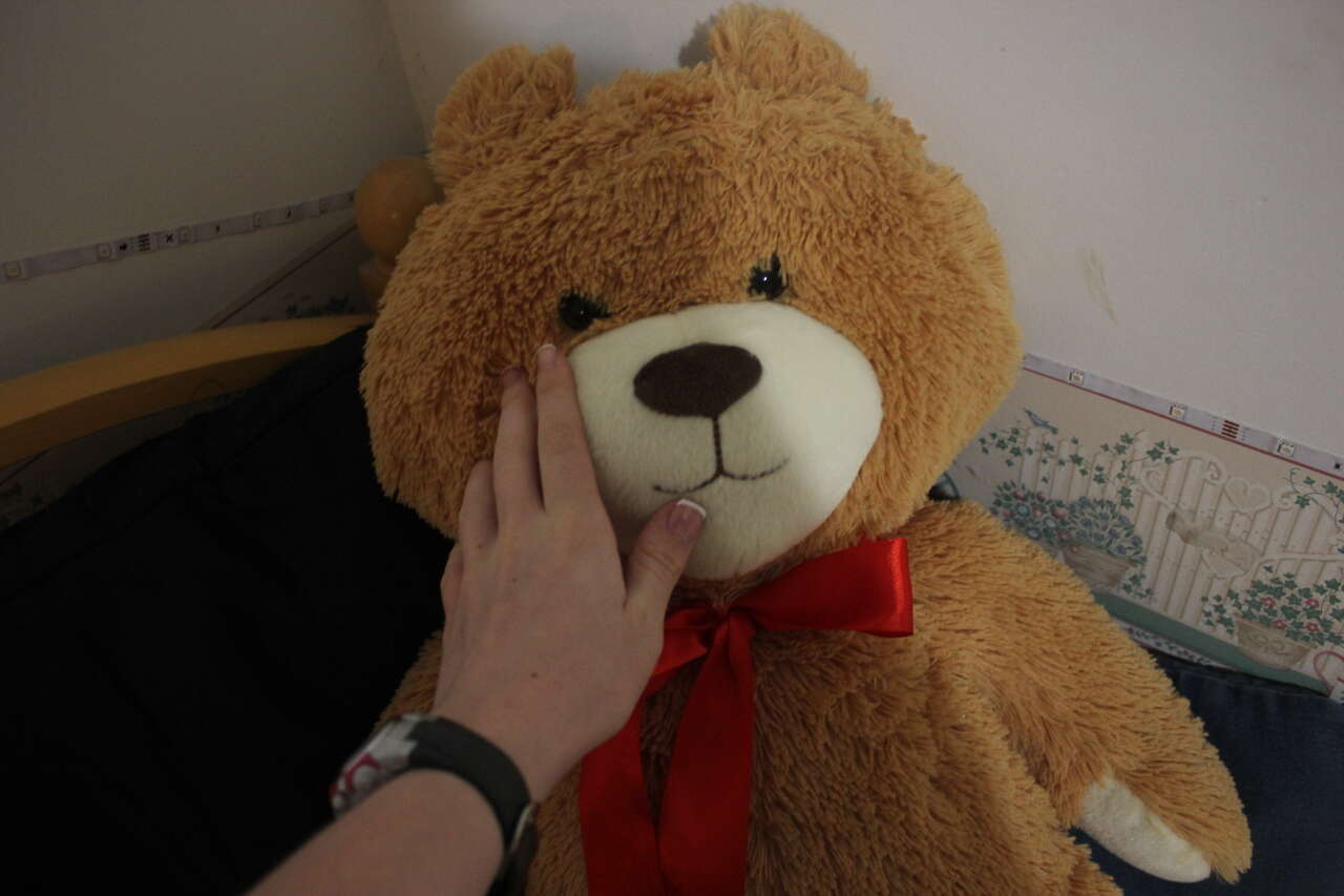 Giant Teddy Bear Stuffed Animal