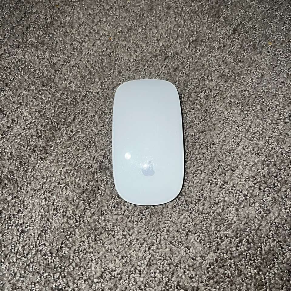 Apple Magic Mouse 1