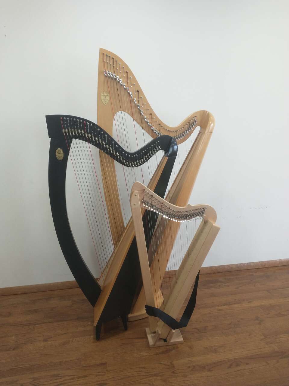 Harps for Rent with Lessons $35-$75/month