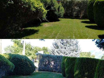 Anguiano's Clean Up Service