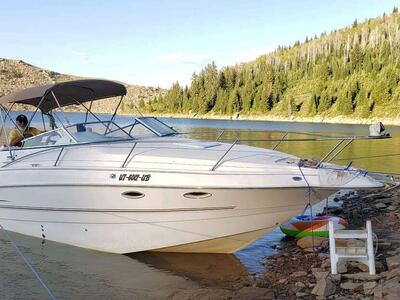 BOAT - 2000 Larson Cabrio 254 for Sale
