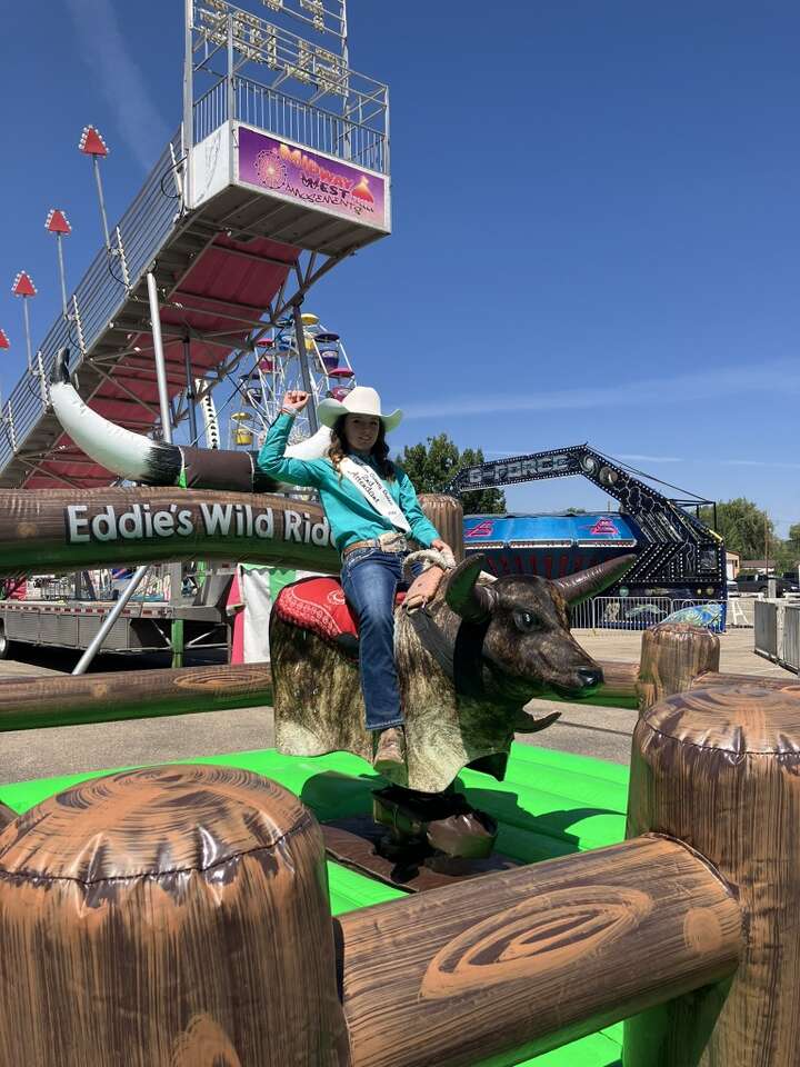 Mechanical Bull Rental