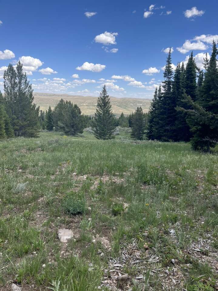 Cabin Property Lot 121 & 122