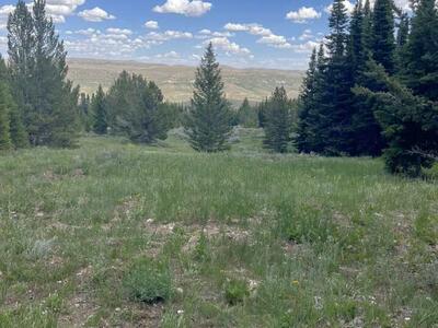 Cabin Property Lot 121 & 122