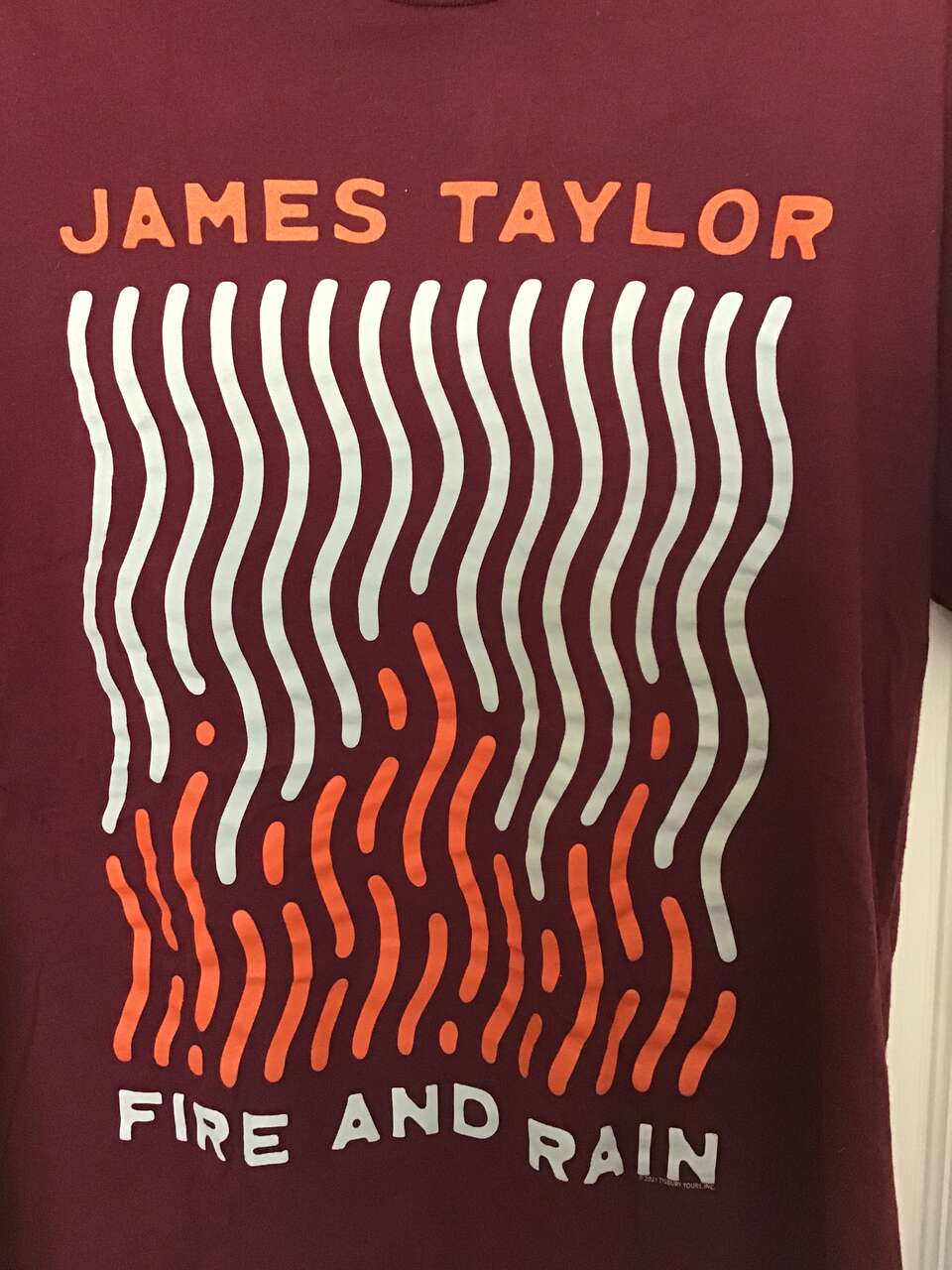 James Taylor T-Shirt