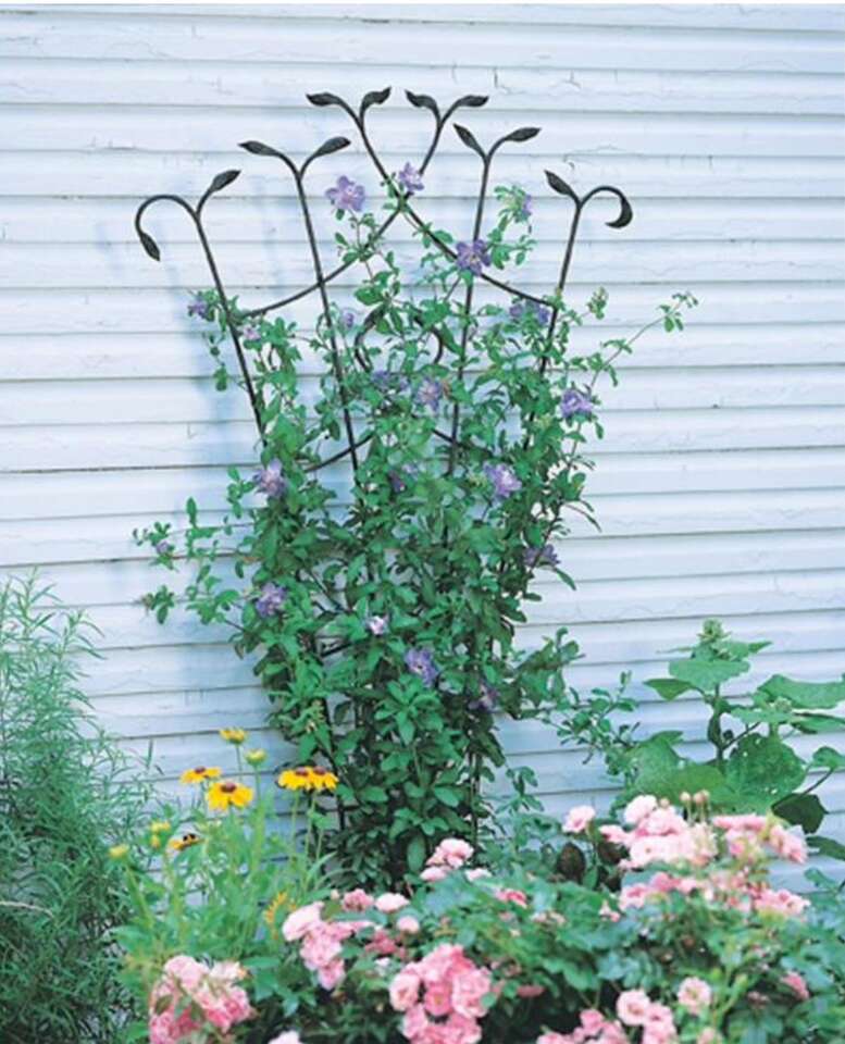 Forged Iron Fan Trellis - Set Of 6