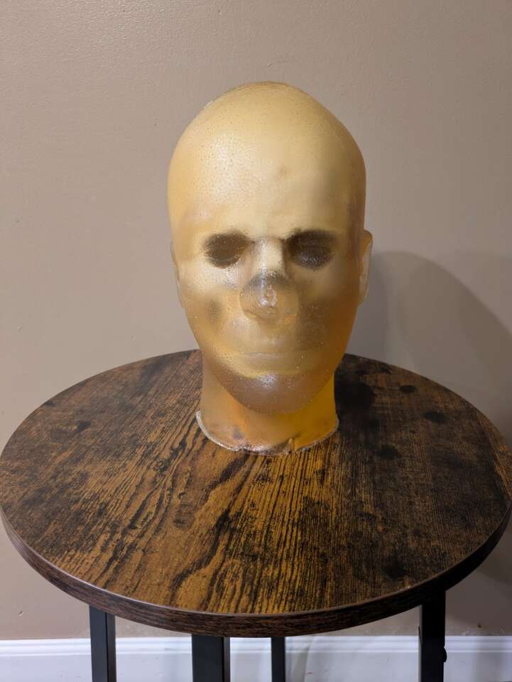 Utah Backyard Ballistics head shooting target