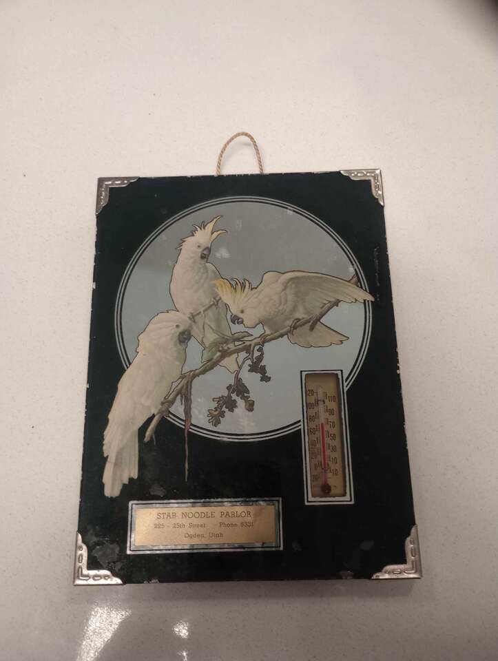 Bird Thermometer - Star Noodle