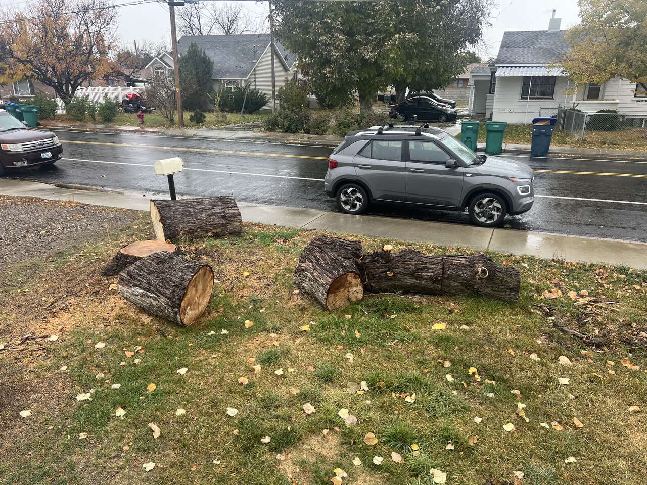 Free Wood! Home and Garden